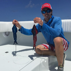 Unrigged Swordfish Baits