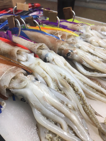 Whole Squid*