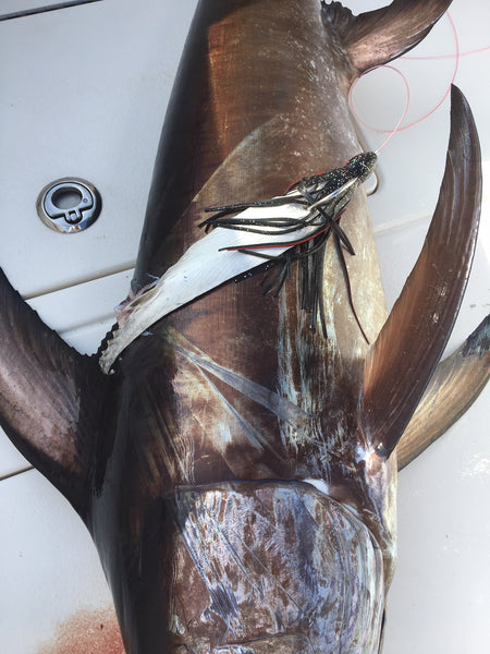 2pk Bonita Bellies Wide with Throat Fins