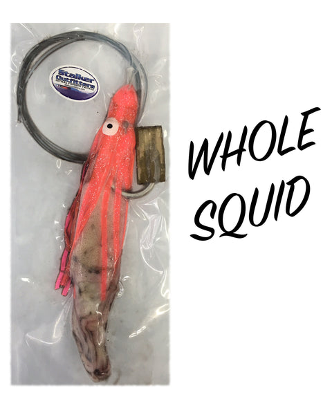 Whole Squid*