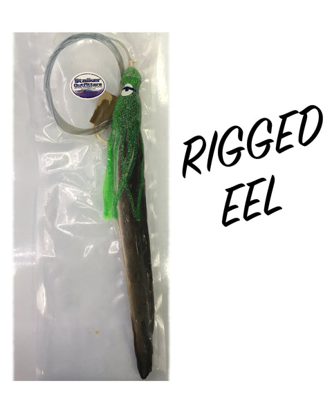 Rigged Eel*